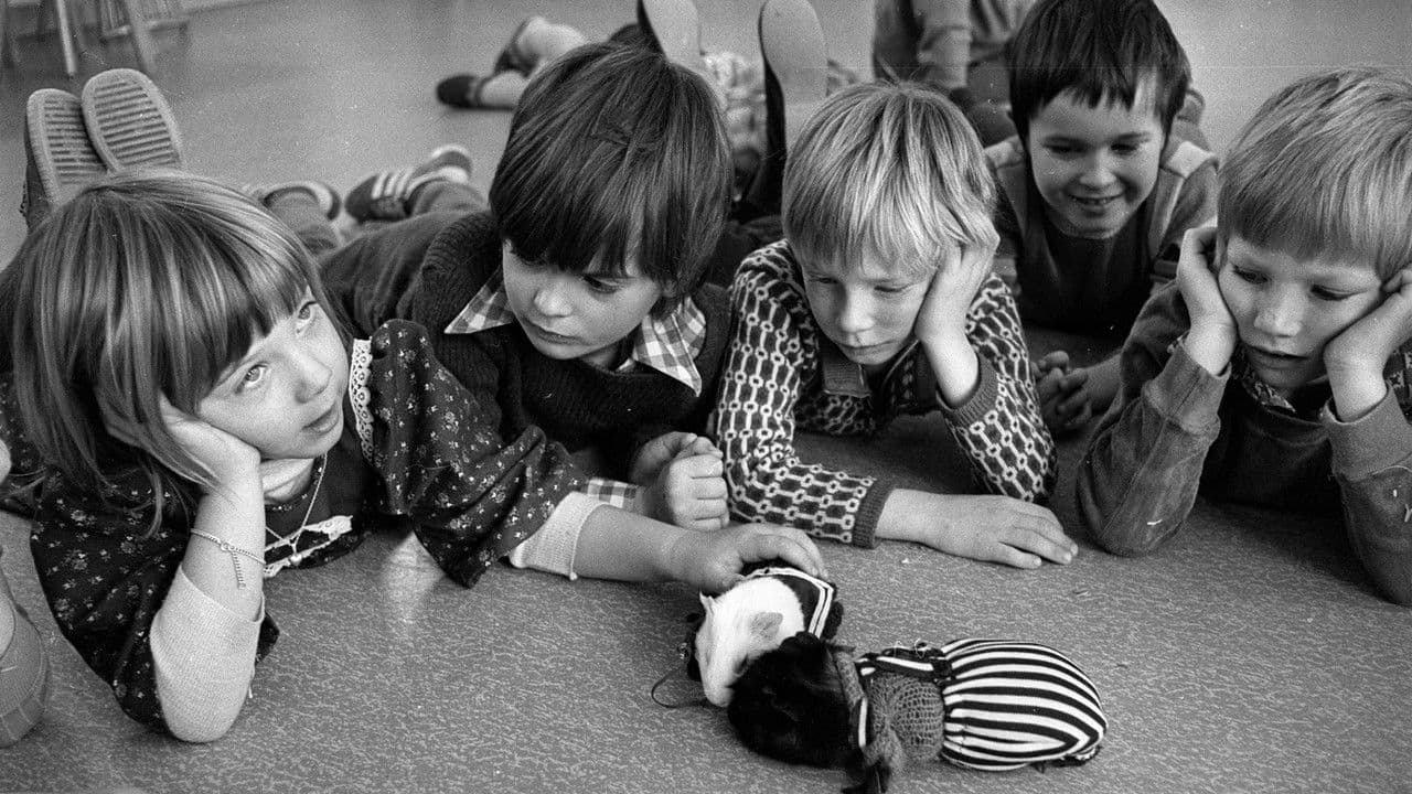 Backdrop – Mit mir will niemand spielen