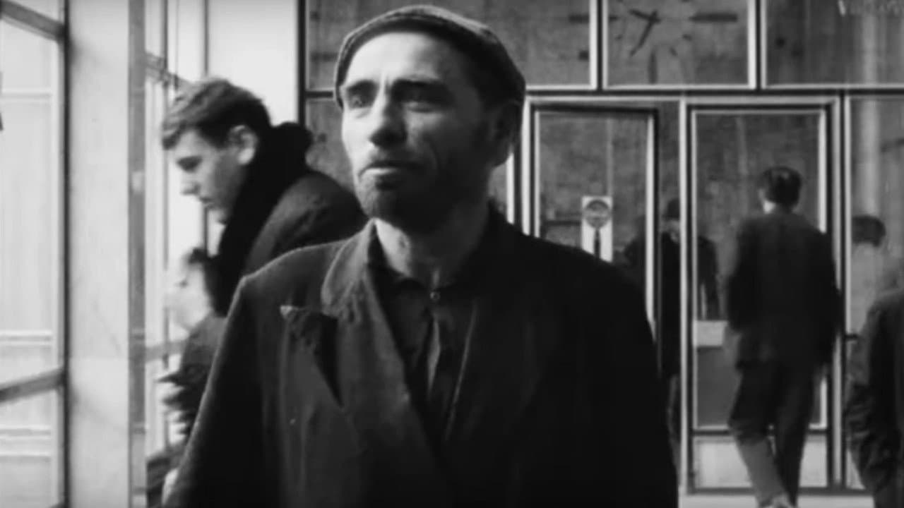 Backdrop – Čvor