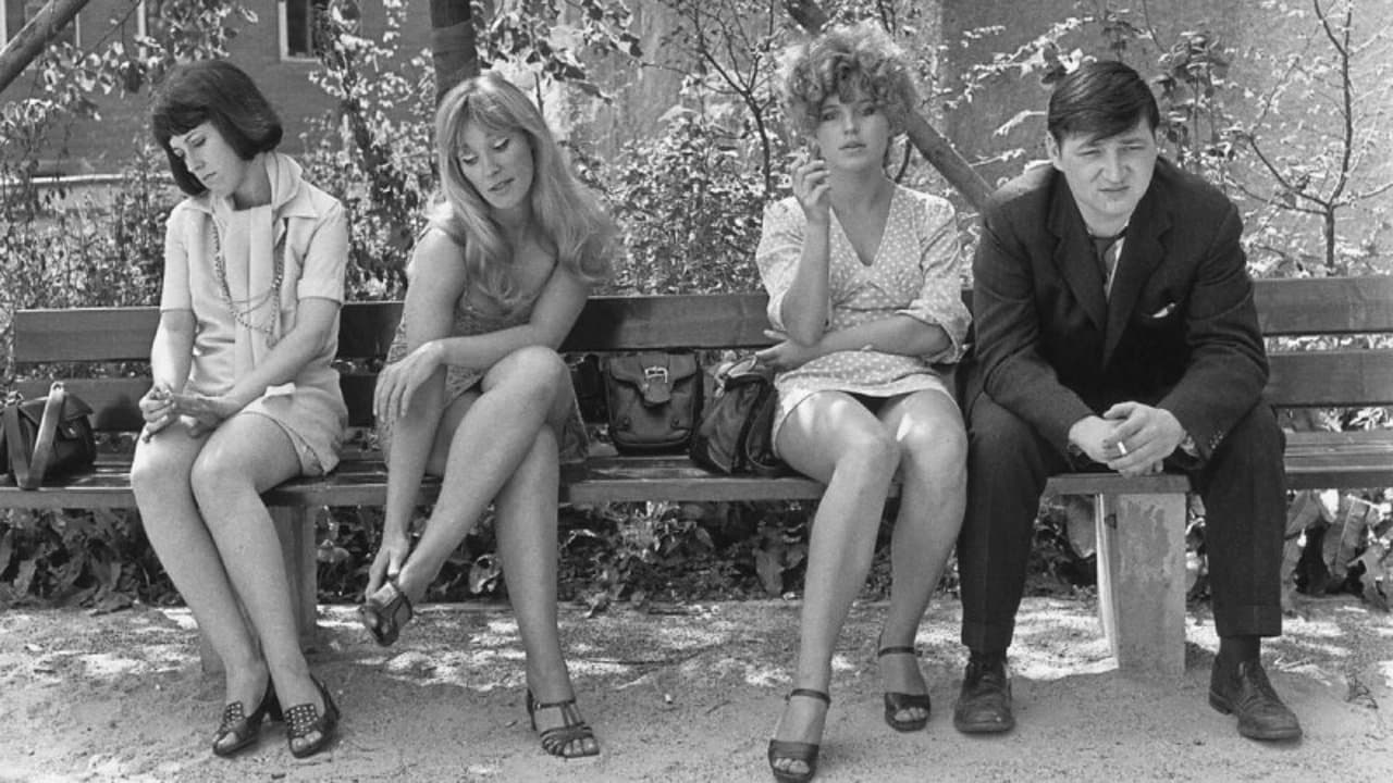 Backdrop – Katzelmacher