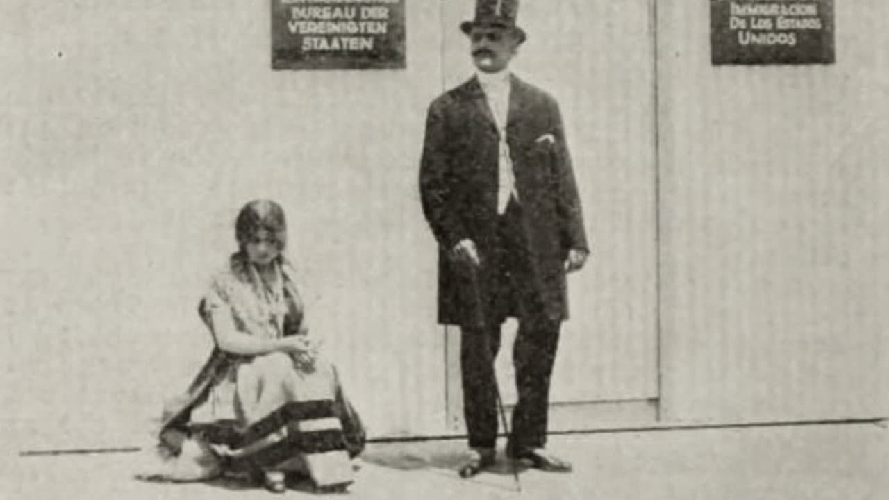 Backdrop – The Intrigue