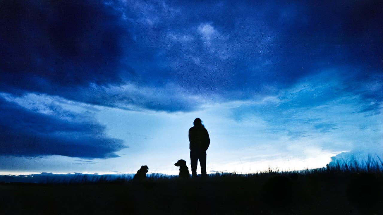 Backdrop – The Thick Dark Fog