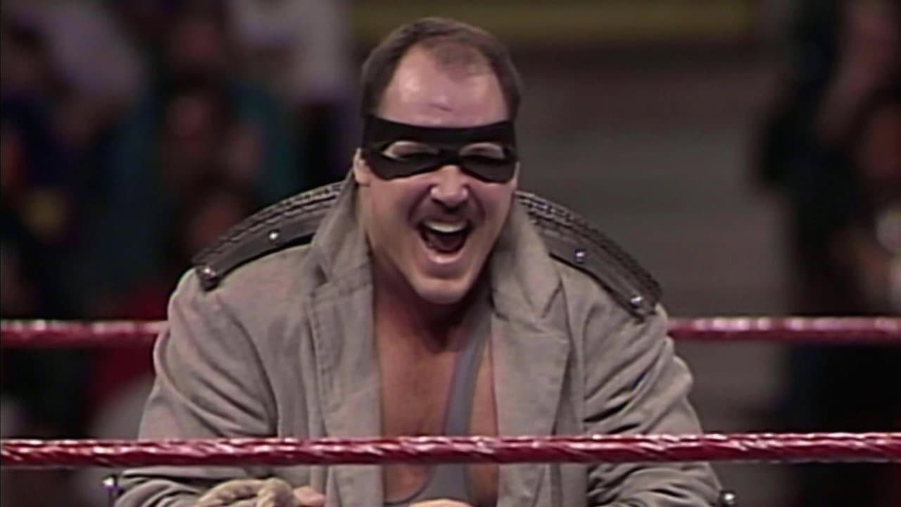 Backdrop – WWE WrestleFest '93