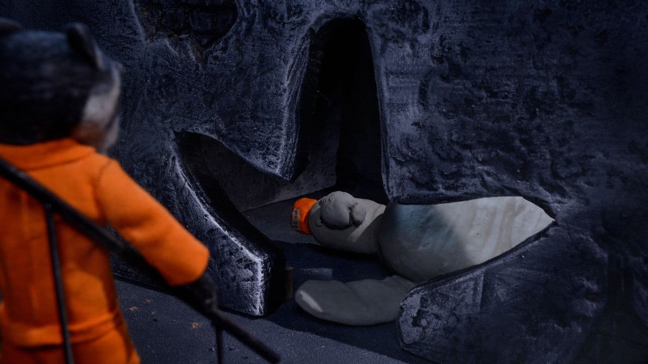 Backdrop – Celmaatjes