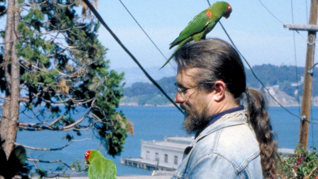Backdrop – The Wild Parrots of Telegraph Hill