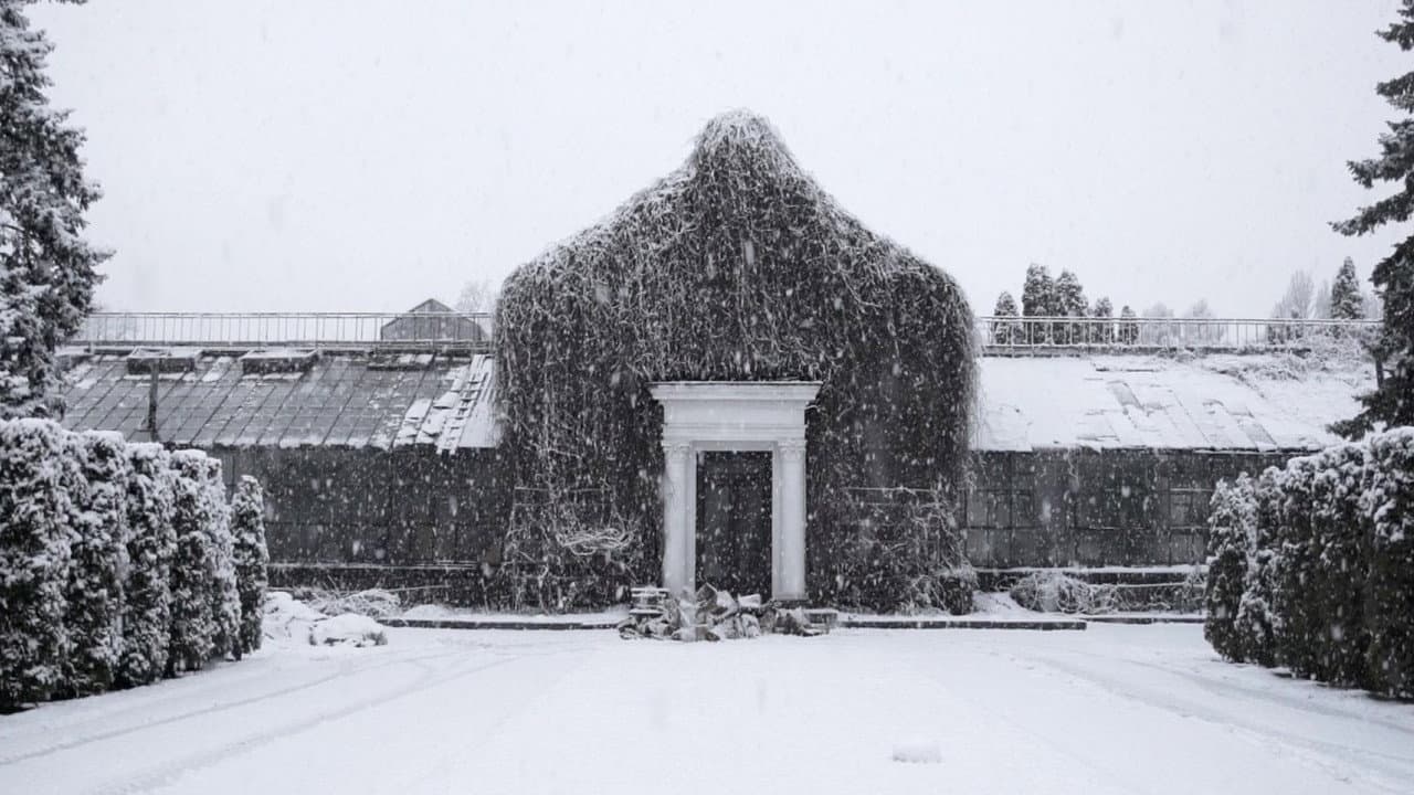 Backdrop – Історія Зимового саду
