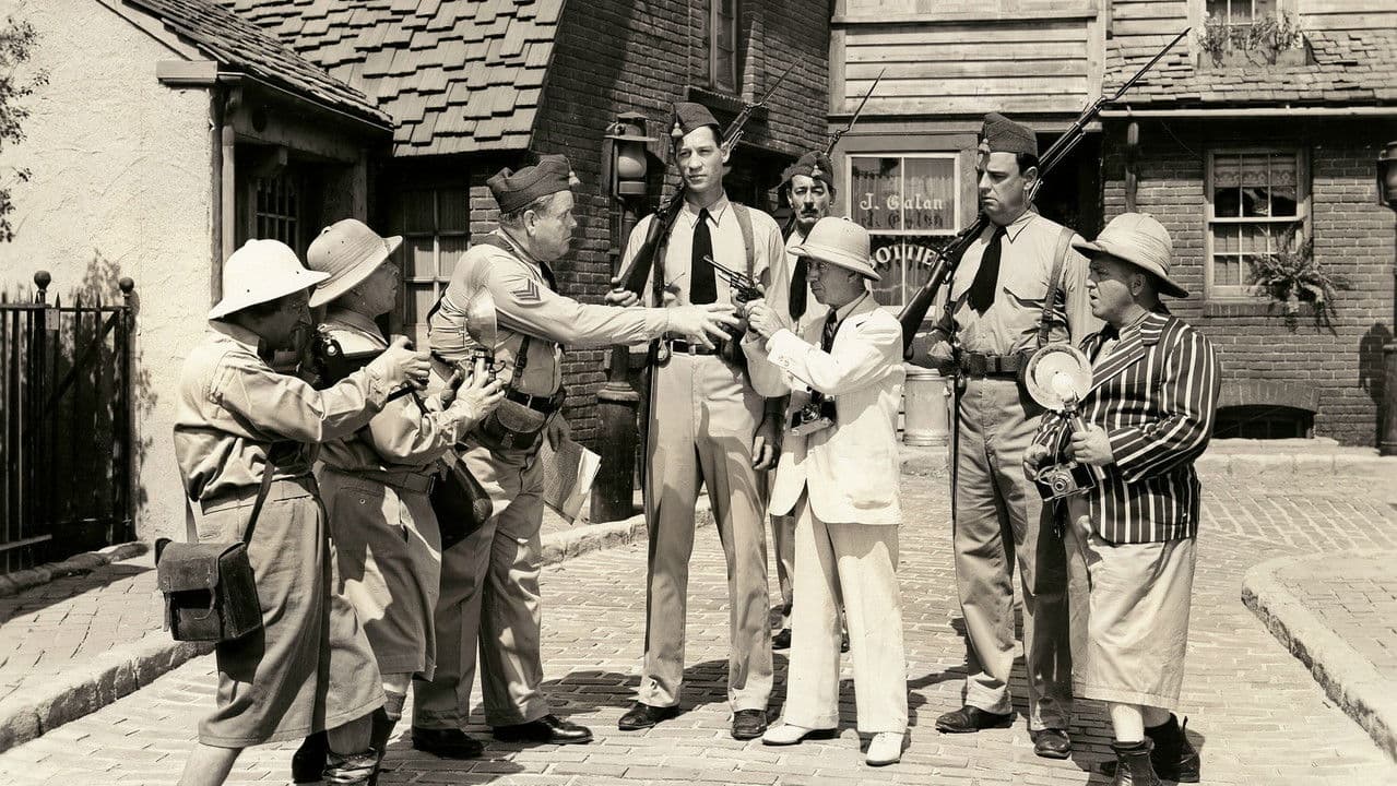 Backdrop – Dutiful But Dumb