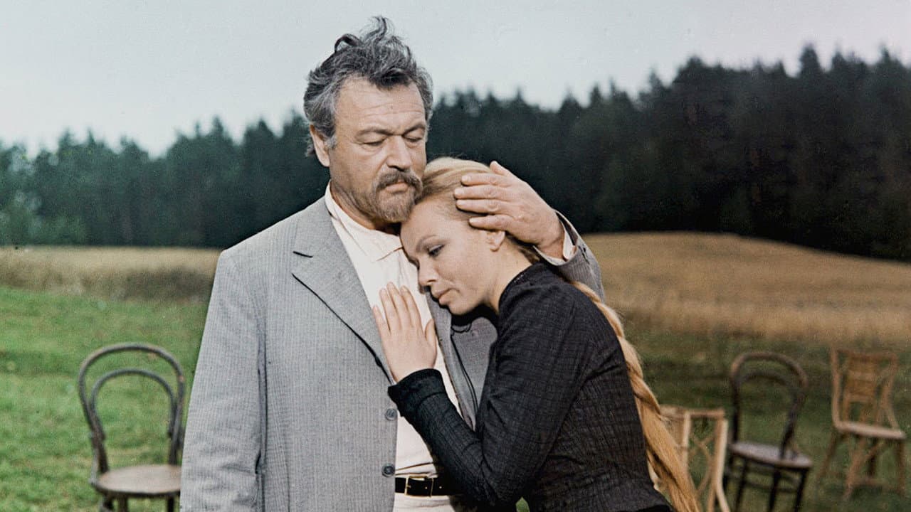 Backdrop – Die Möwe