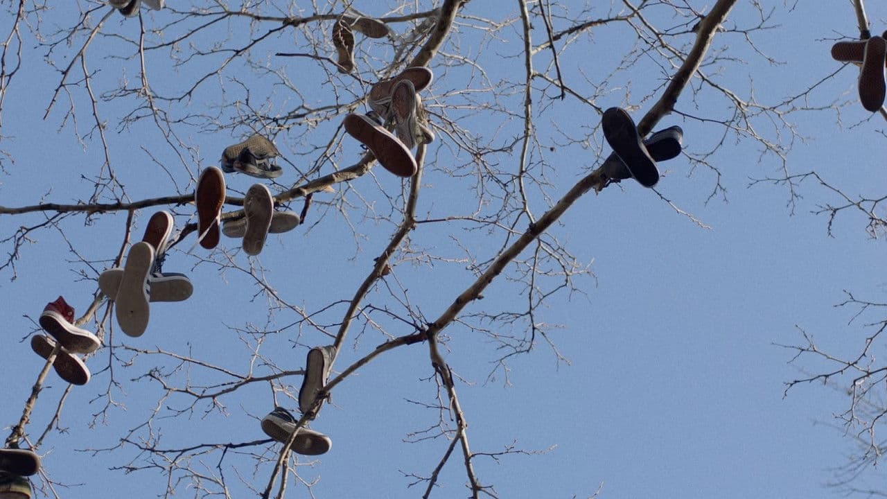 Backdrop – Promise