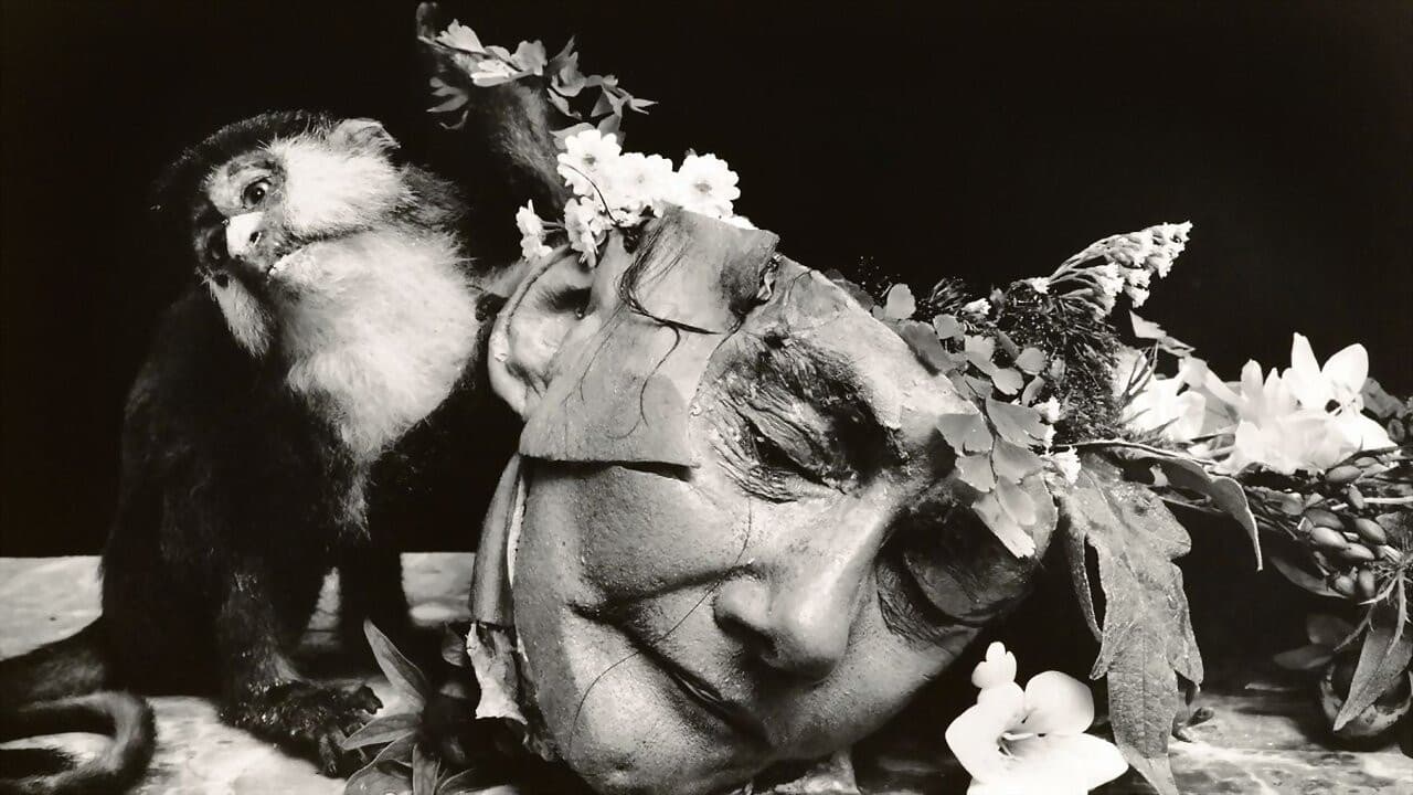 Backdrop – Witkin & Witkin