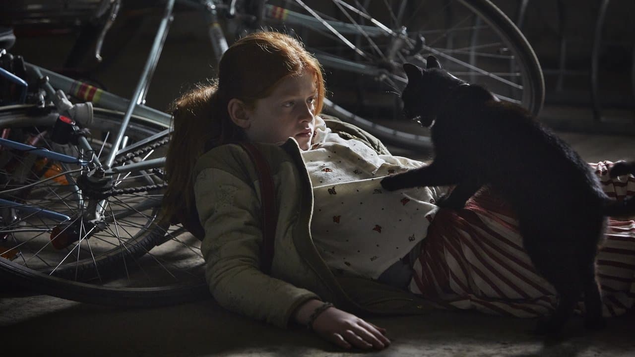 Backdrop – Wildhexe