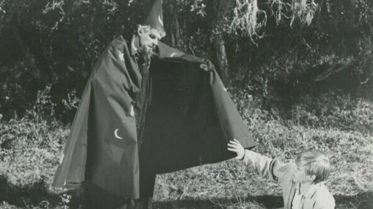 Backdrop – The Princess and the Magic Frog