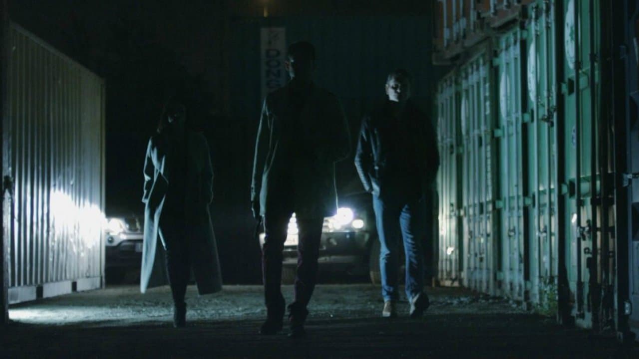 Backdrop – Undercover Hooligan