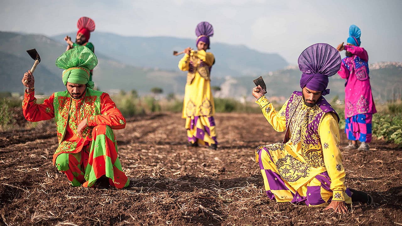 Backdrop – The Harvest