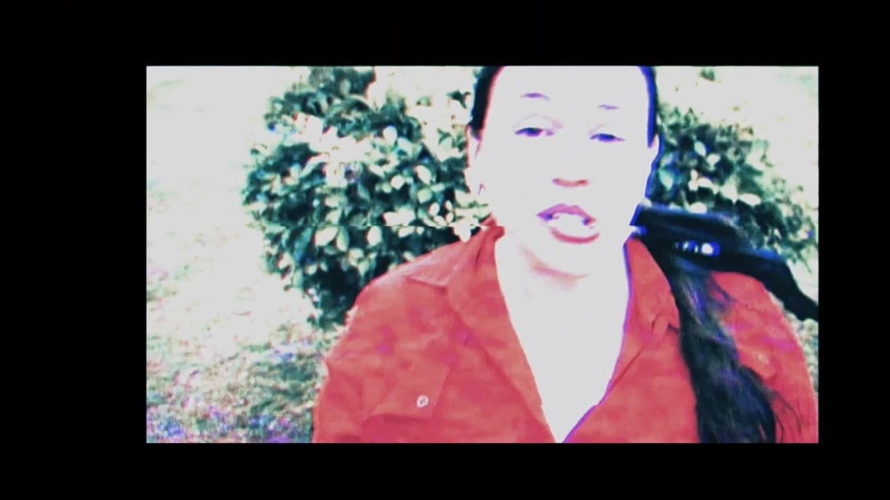 Backdrop – Amado Pai