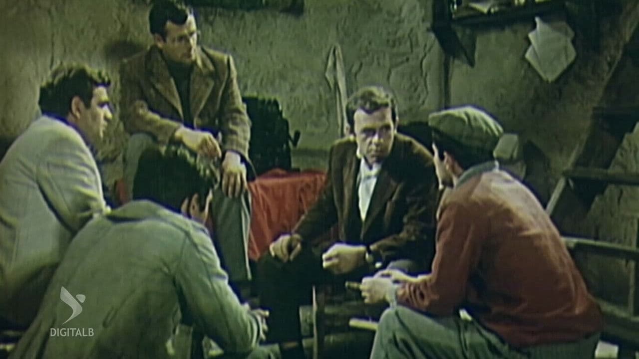 Backdrop – Në fillim të verës