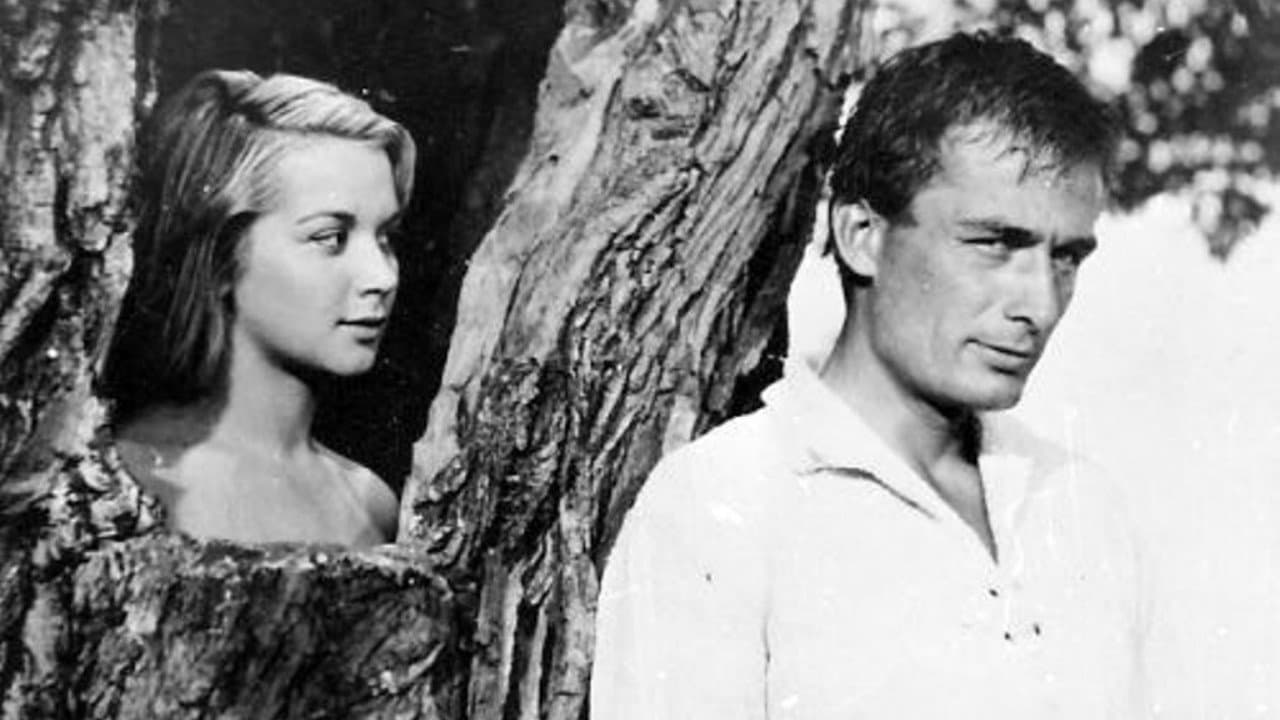 Backdrop – Конникът