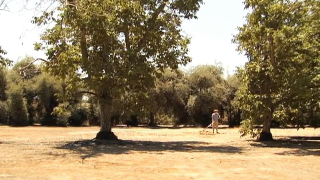 Backdrop – The Fourth