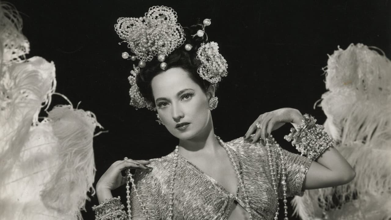 Backdrop – Night in Paradise