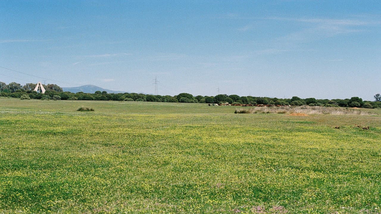 Backdrop – Óxido