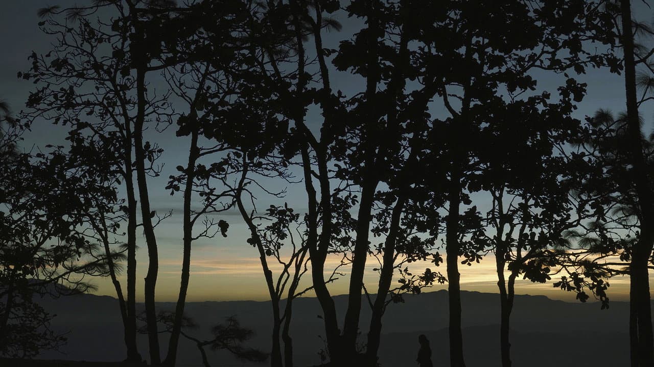 Backdrop – Tía Lucía