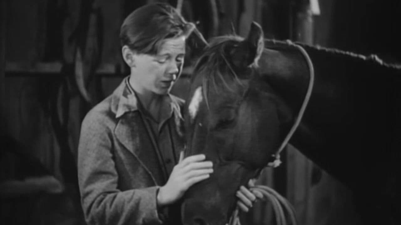 Backdrop – Two Thoroughbreds