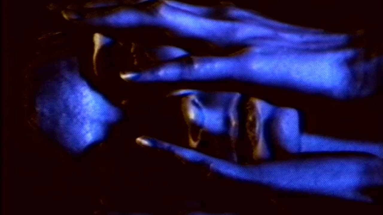 Backdrop – Witness