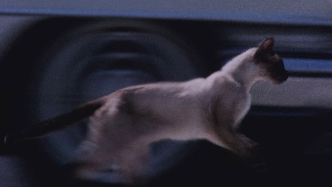 Backdrop – The Perils of Priscilla