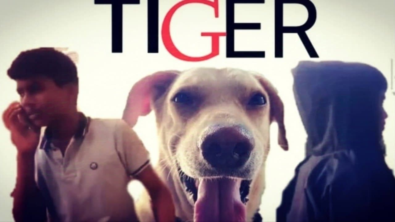 Backdrop – TIGER