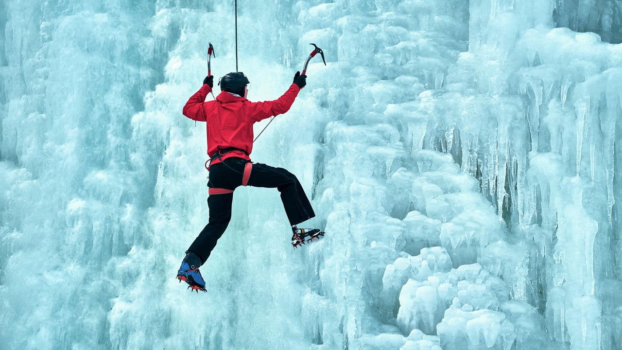 Backdrop – Momentum