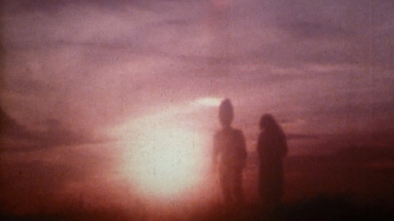 Backdrop – 東京白菜関K者