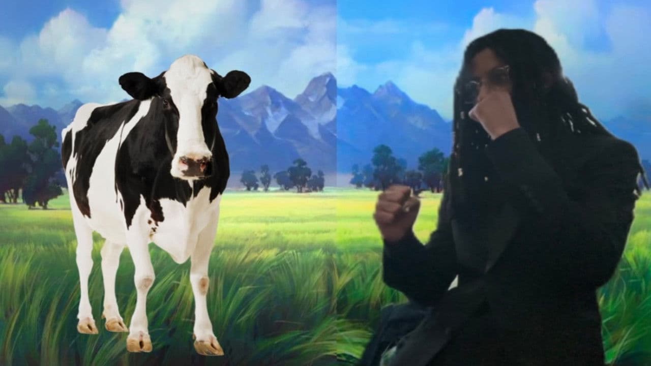 Backdrop – The Adventures of Tye M. Traveler