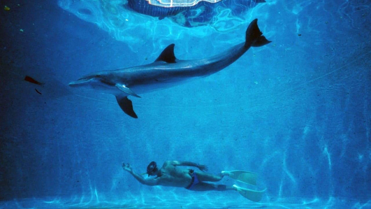 Backdrop – Im Rausch der Tiefe