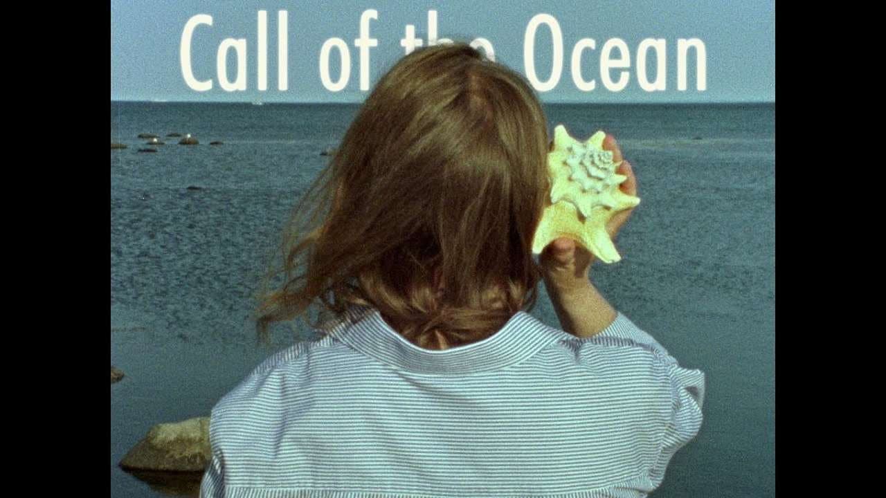 Backdrop – Call of the Ocean