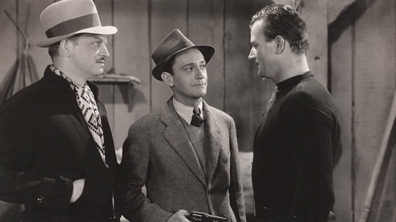 Backdrop – Sea Spoilers