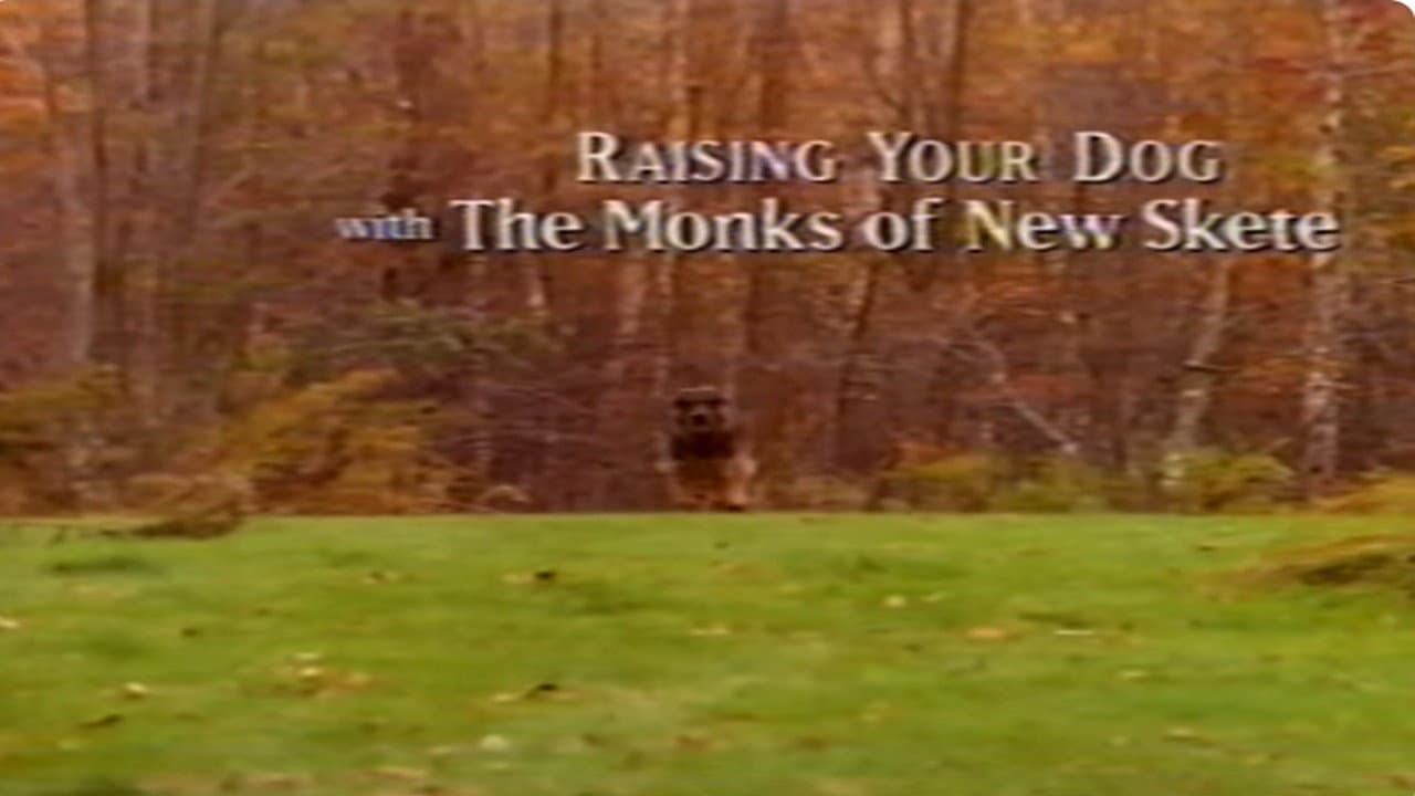 Backdrop – Raising Your Dog with the Monks of New Skete: Obedience - Working With Your Adult Dog