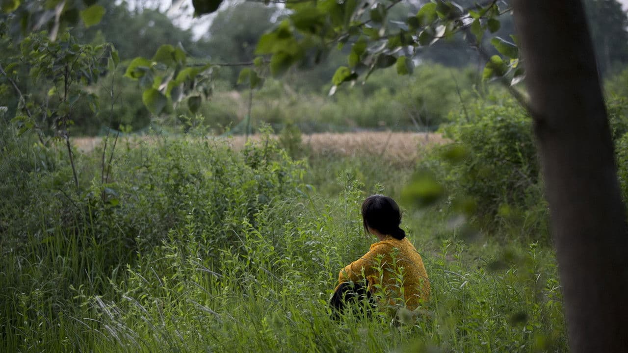 Backdrop – 摇摇晃晃的人间