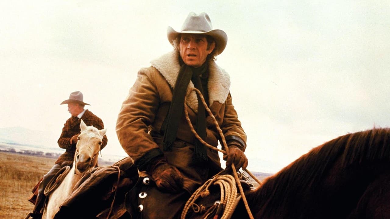 Backdrop – Ich, Tom Horn