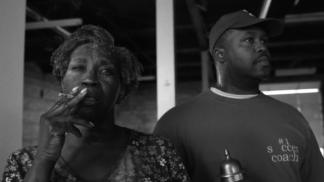 Backdrop – Dice 'n Steal