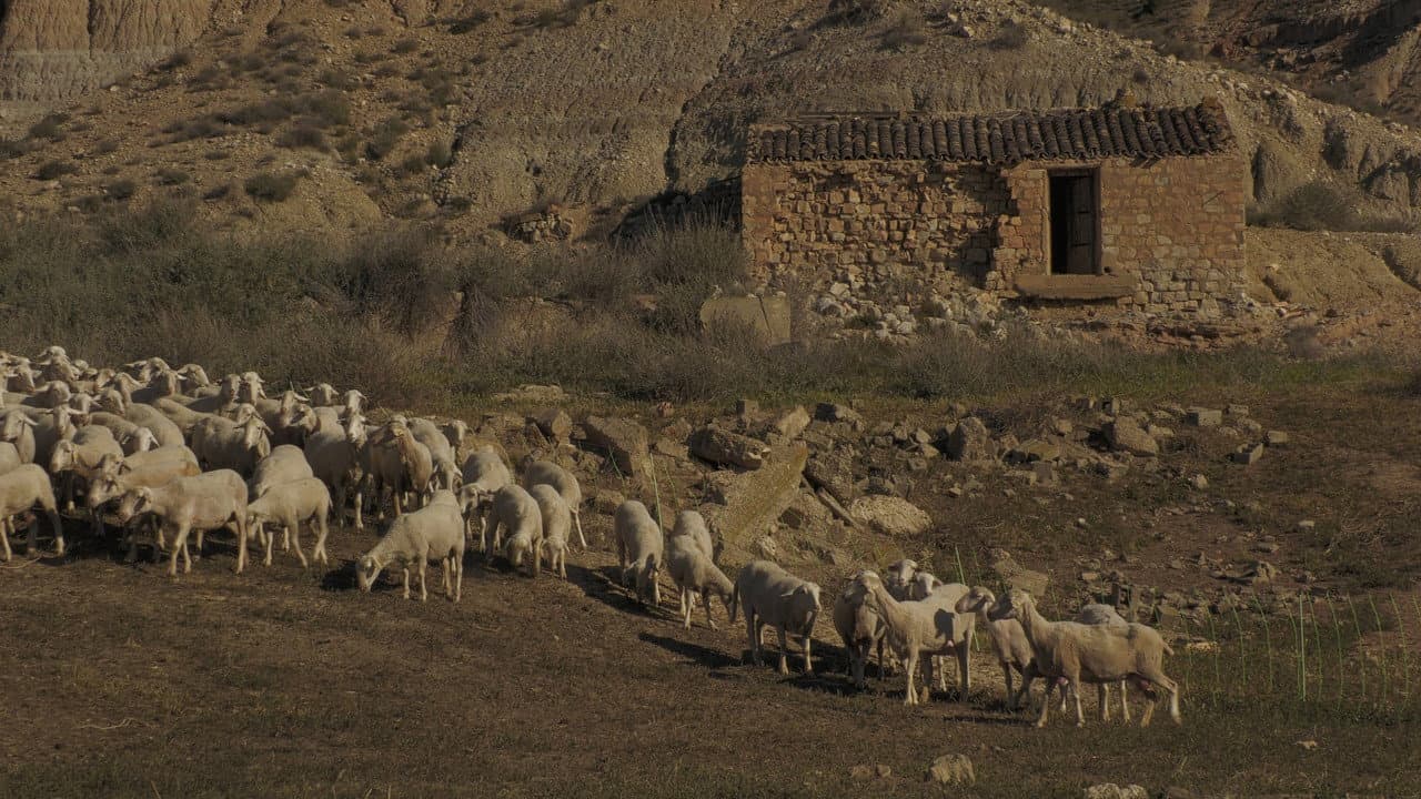 Backdrop – Cierzo