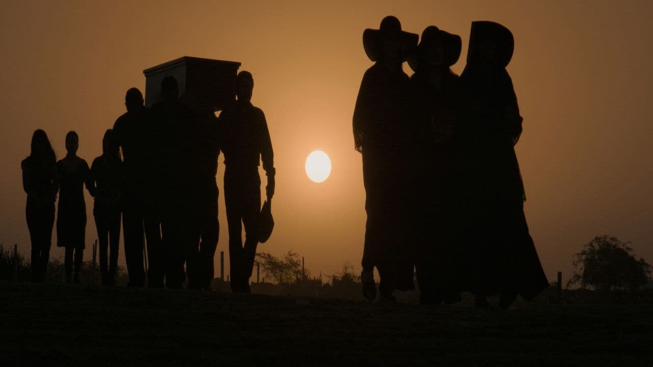 Backdrop – 38 grados