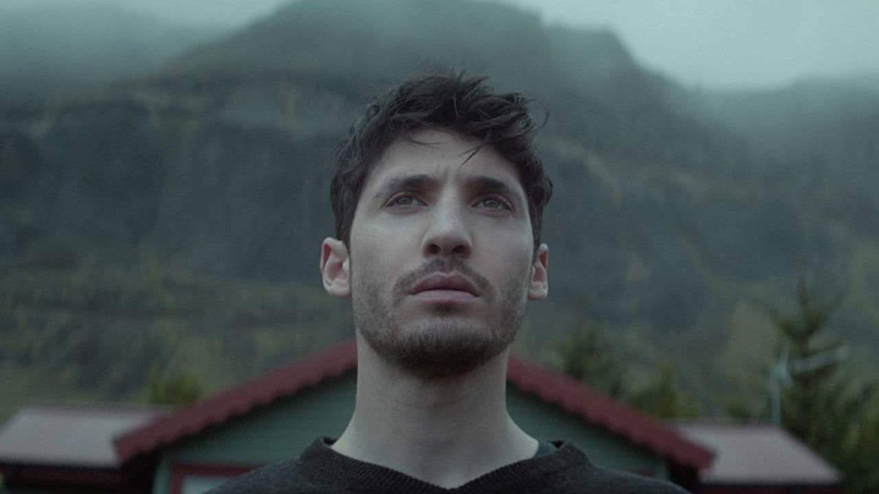 Backdrop – Autumn Lights