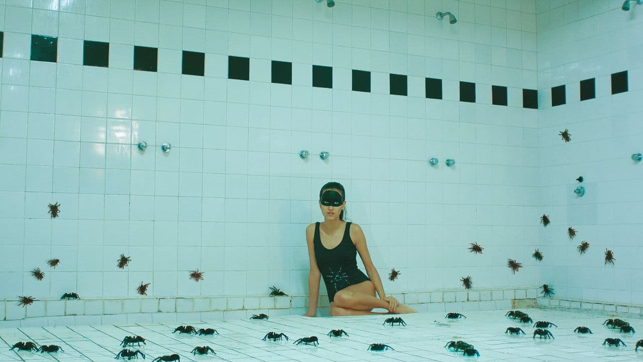 Backdrop – Las Arácnidas