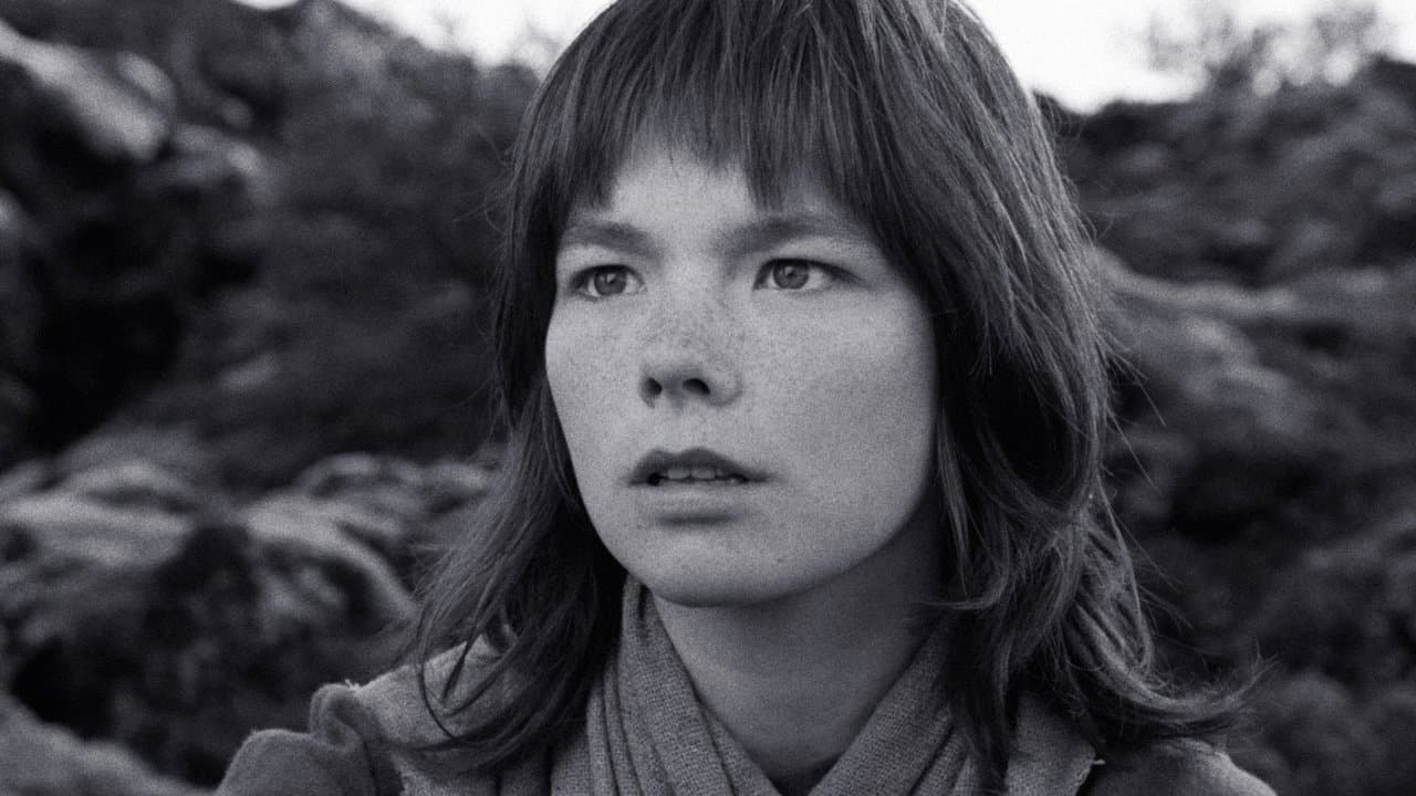 Backdrop – Der Wacholderbaum