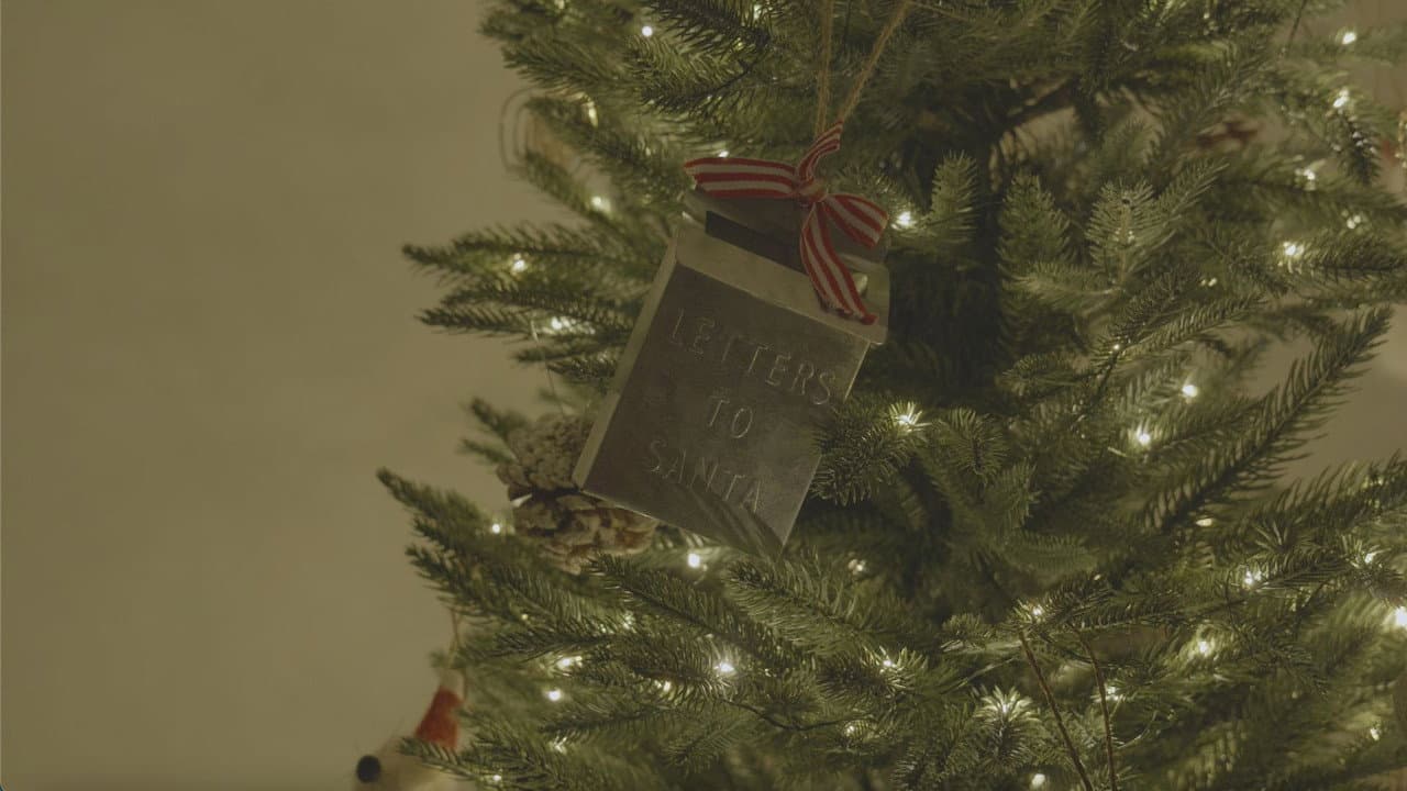 Backdrop – Santa's Never Been to My House