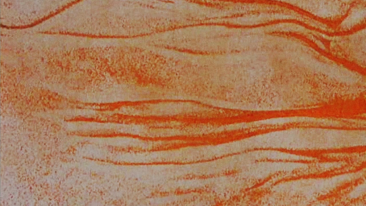 Backdrop – Taniec szkieletów. Danse Macabre