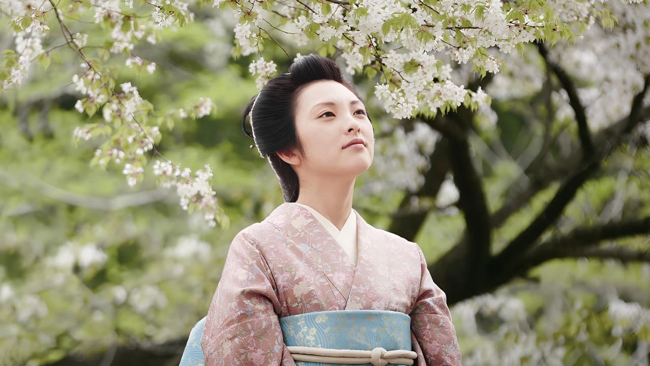 Backdrop – 山桜