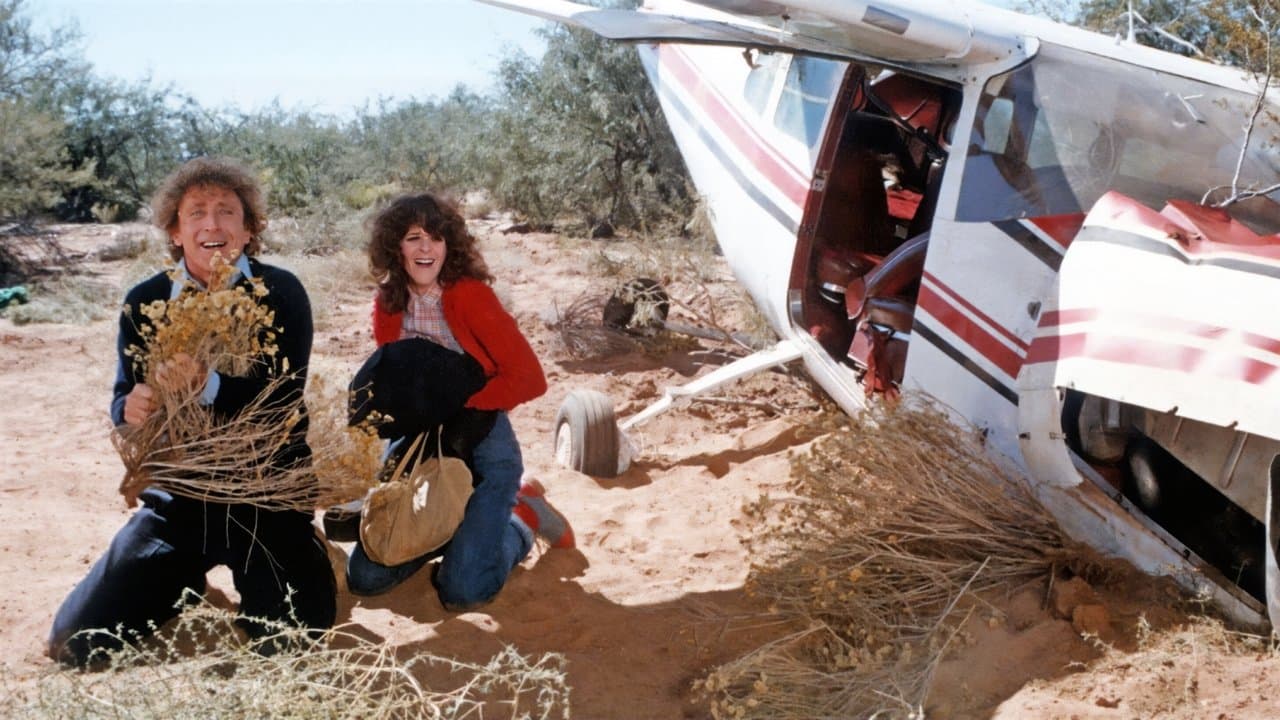 Backdrop – Der Geisterflieger - Hanky Panky