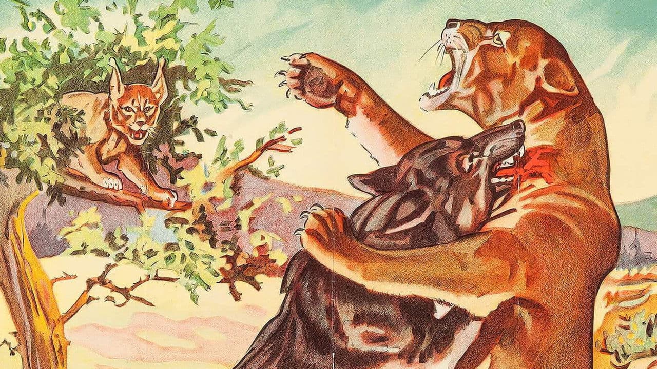 Backdrop – Trailing the Killer