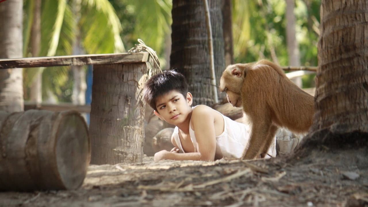 Backdrop – กะปิ ลิงจ๋อไม่หลอกจ้าว