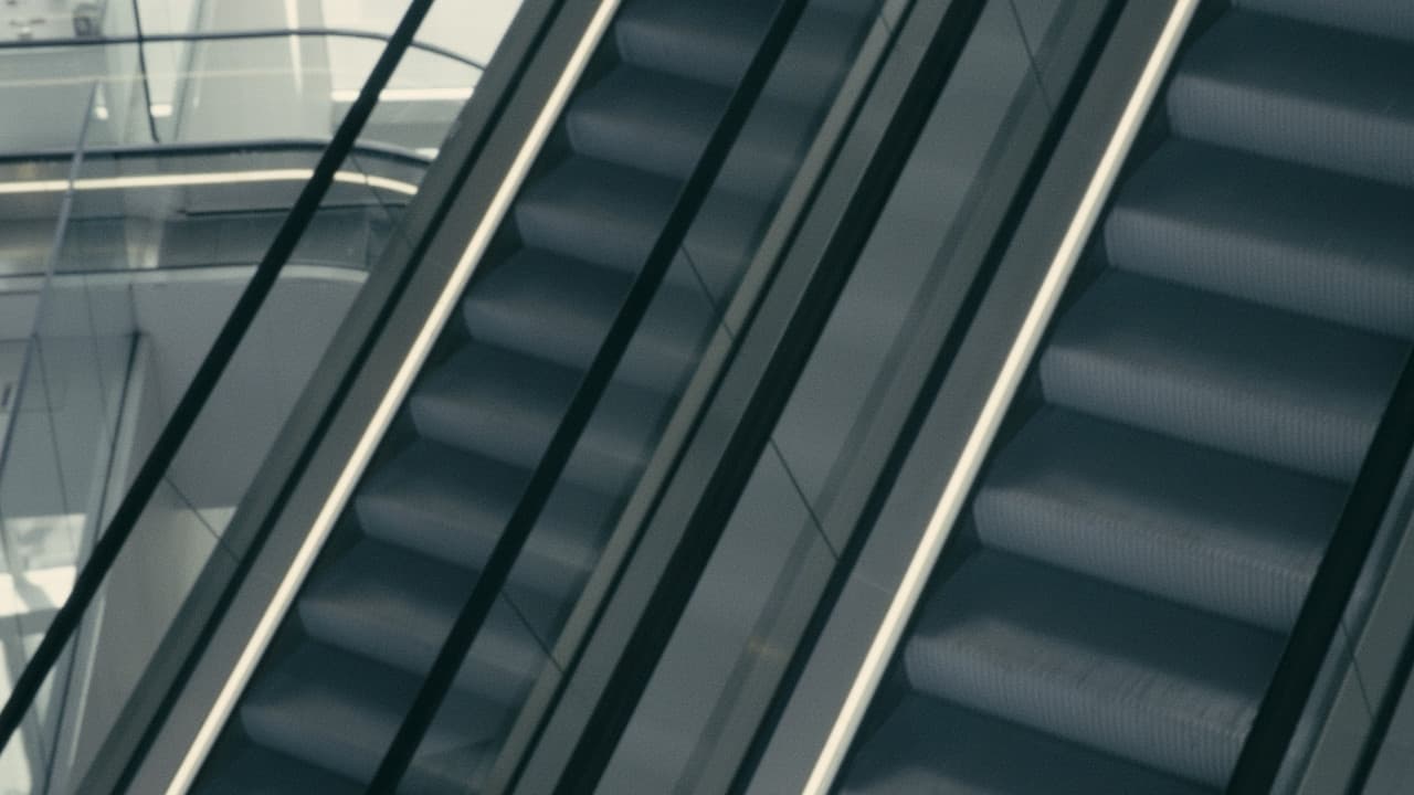 Backdrop – SUR FACIE